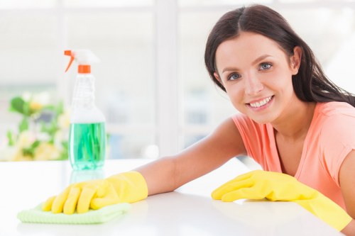Window cleaning in SE15 for local homes and businesses
