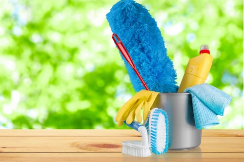 Professional carpet cleaning service terms and booking information