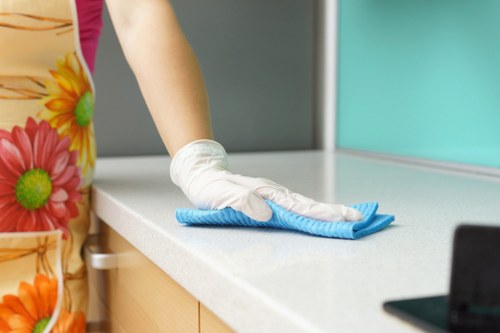 Professional oven cleaning service in SE15 removing grease from a kitchen oven