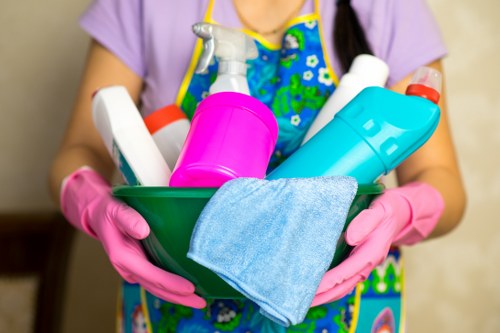 Reliable cleaning service for homes and offices in SE15