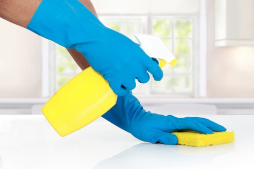 Carpet cleaner service in SE15 for fitted flooring