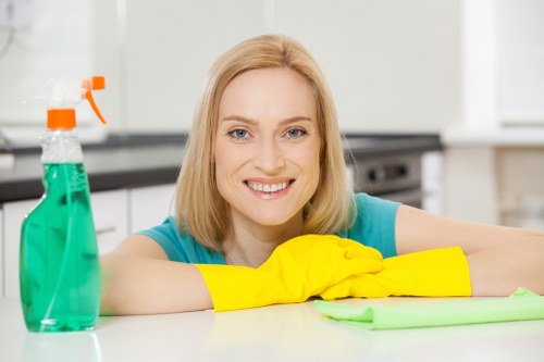 Carpet cleaning team using sustainable waste separation in SE15