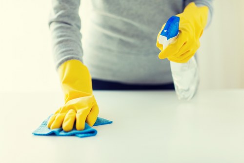 Professional carpet cleaners SE15 using insured and safe cleaning practices