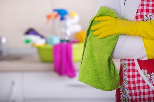 Cleaning tools and supplies used by home cleaners in SE15