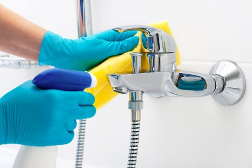 Bathroom sanitising as part of domestic cleaning in SE15