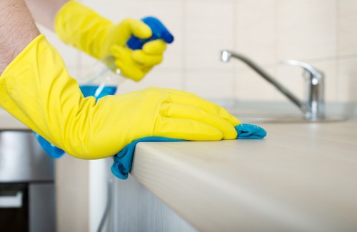 SE15 window cleaning service for residential and commercial buildings