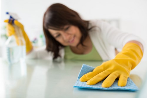 Carpet cleaning appointment and payment terms document