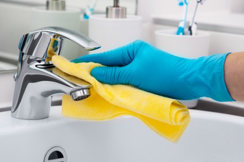 Supplier audit paperwork and compliance review for carpet cleaning services